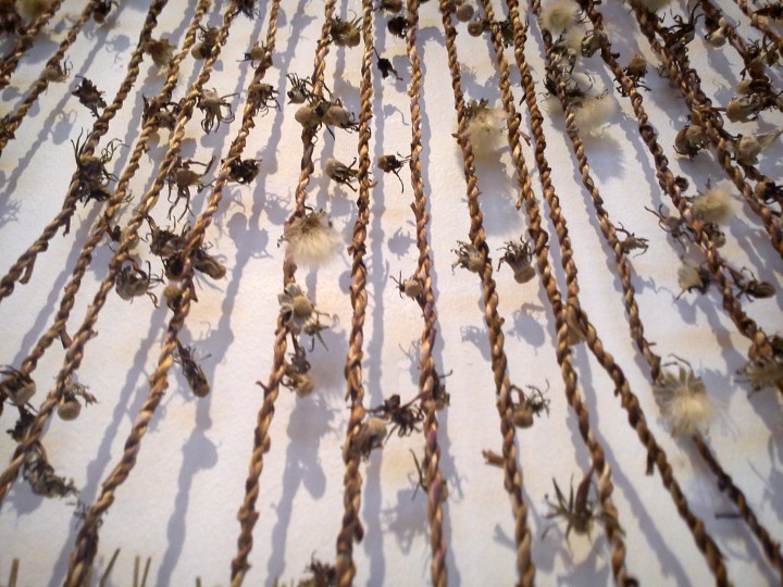 Soft Rush Mantle (detail) Photo Chris Fremantle