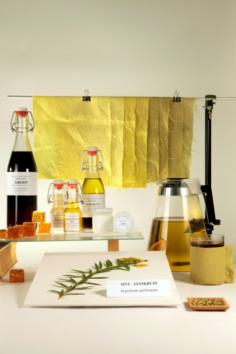 Katja Gruijters Saint John's wort Lab, 2014, photography Jonas de Witte Courtesy of Marres
