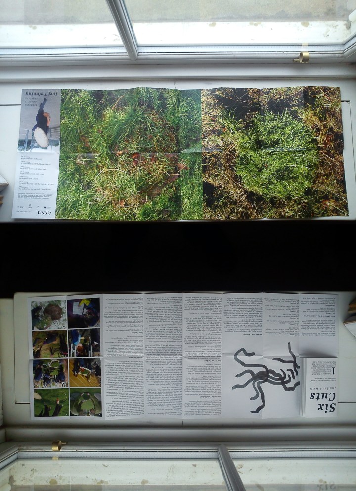 Townley and Bradby's publication for the Turf Twinning Project (2012-2013)