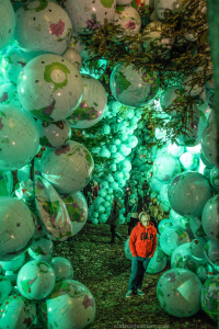 Walk Among The Worlds by Maximo Gomez. Photo: Alain Sojourner http://alainsojourner.com/nuit-blanche-toronto-2014-walk-among-the-worlds/